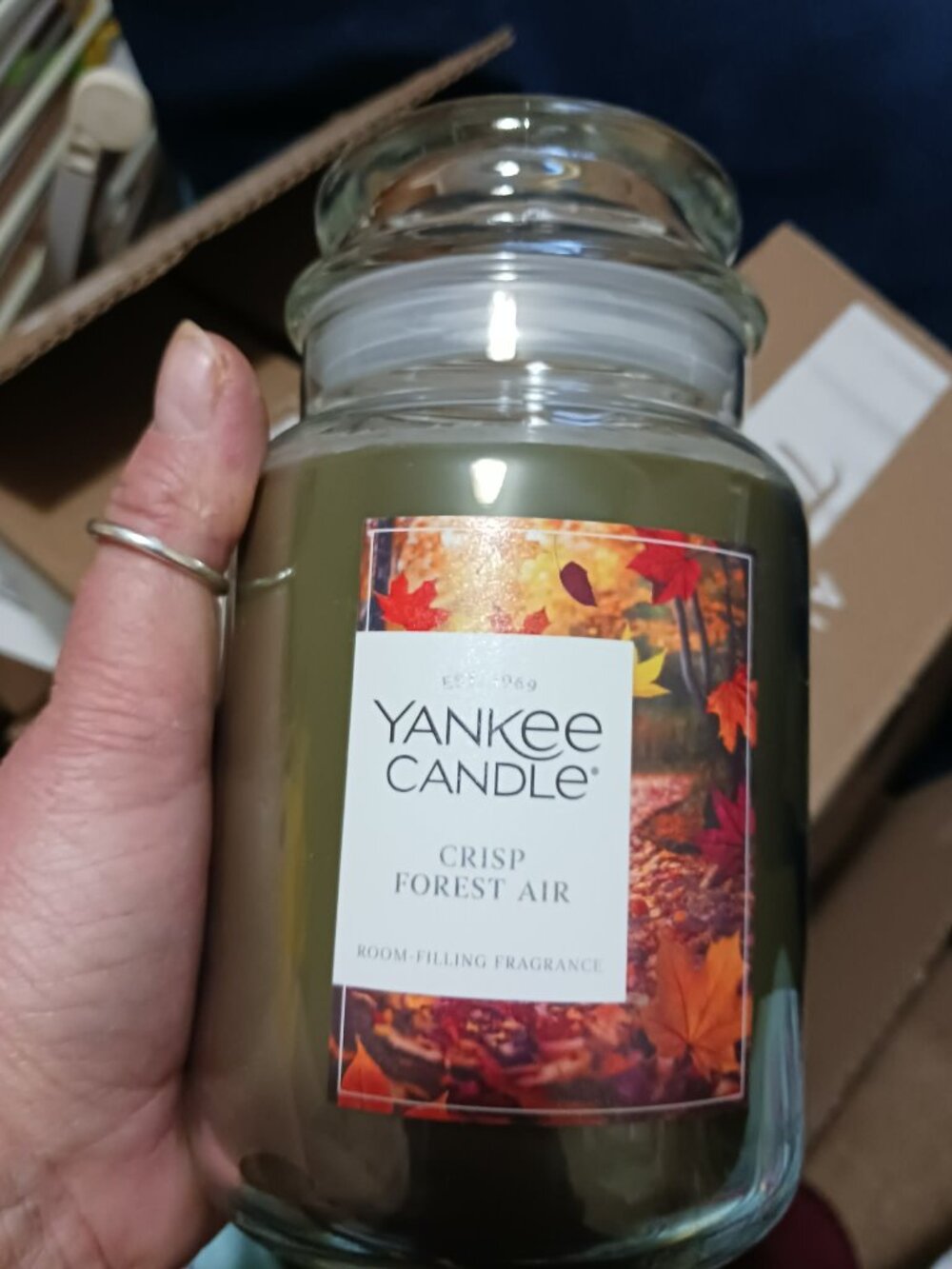 YANKEE CANDLE Crisp Forest Air 22oz Large Original Jar Candle NEW